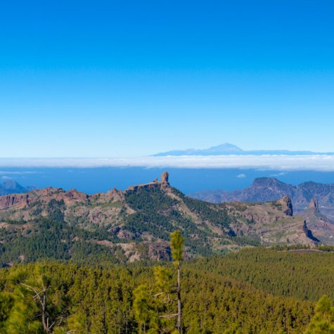 Excursión Cumbres de Gran Canaria