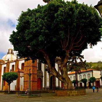 Excursión Cumbres de Gran Canaria