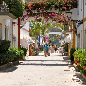 Excursión Puerto de Mogán y su mercado