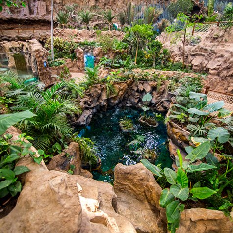 Acuario Poema del Mar 