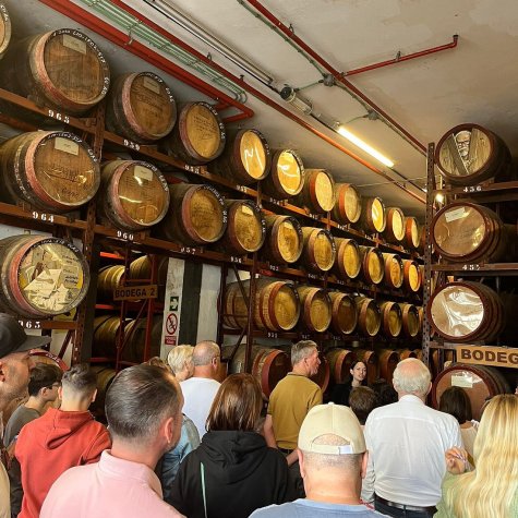 Premium Tour - Aceite, Aceitunas, Ron & Plátanos