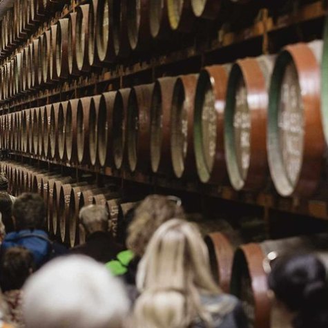 Premium Tour - Aceite, Aceitunas, Ron & Plátanos